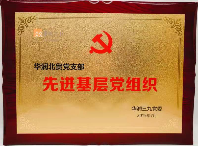 2019�껪��ó����֧�Ƚ��²㵳��֯