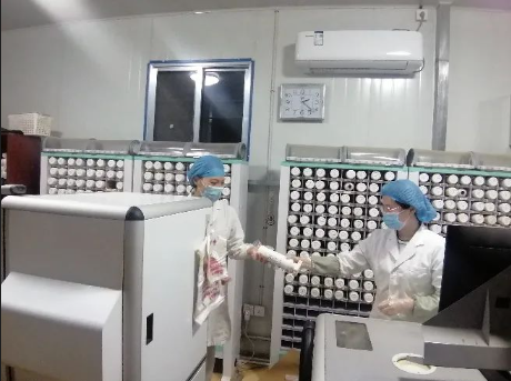 ���� (7).png